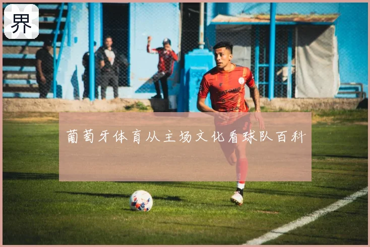 葡萄牙体育从主场文化看球队百科
